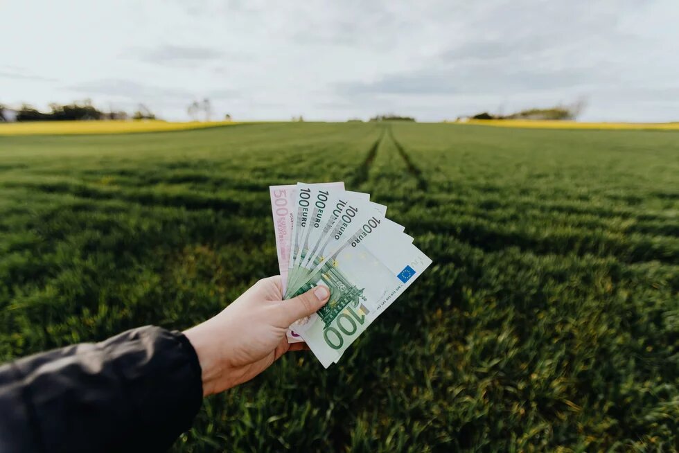 Eine Person hält viele Geldscheine in der Hand. Im Hintergrund ist ein grünes Feld und bewölkter Himmel.