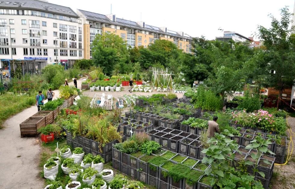 Urban Gardening